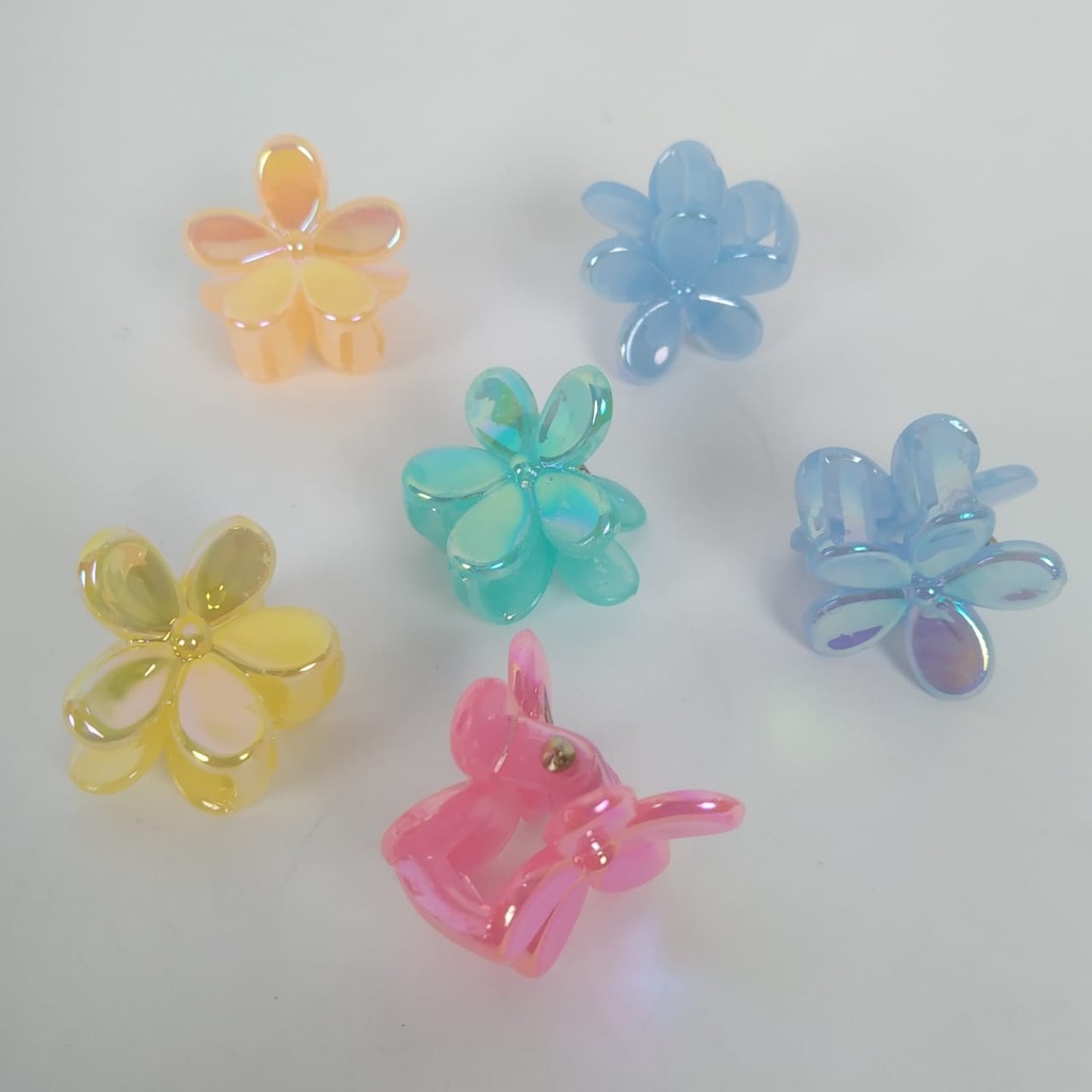 Mini Claw Hair Clip