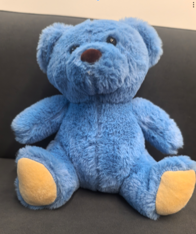Bear Plush Toy- BLUE