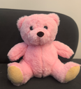 Bear Plush Toy- Pink