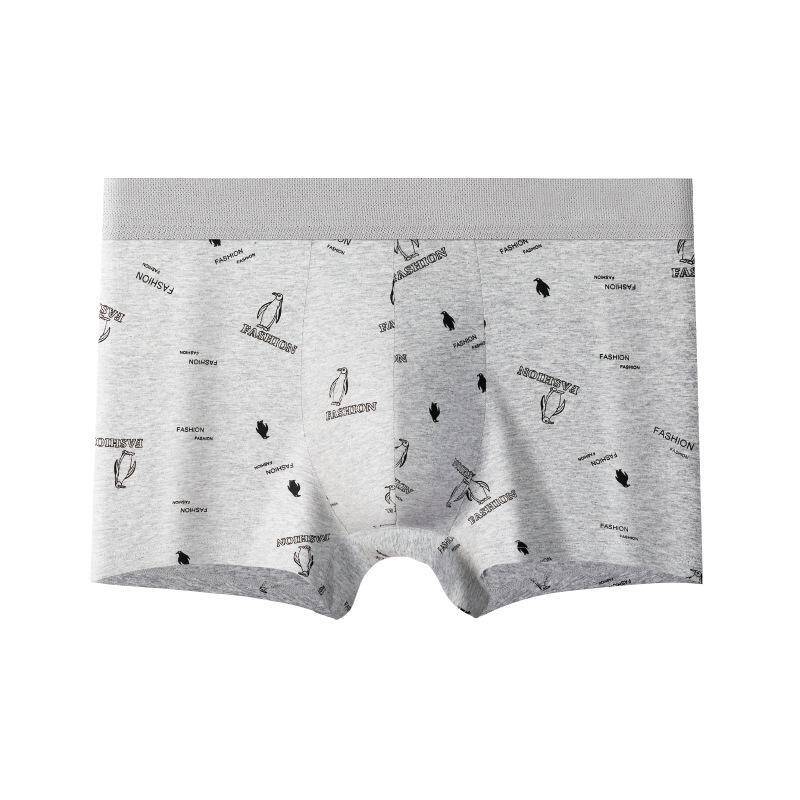 Men's Underwear Set (4 Pairs)