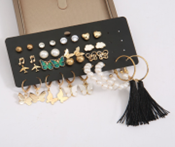 17 Pair Casual Earring Set 