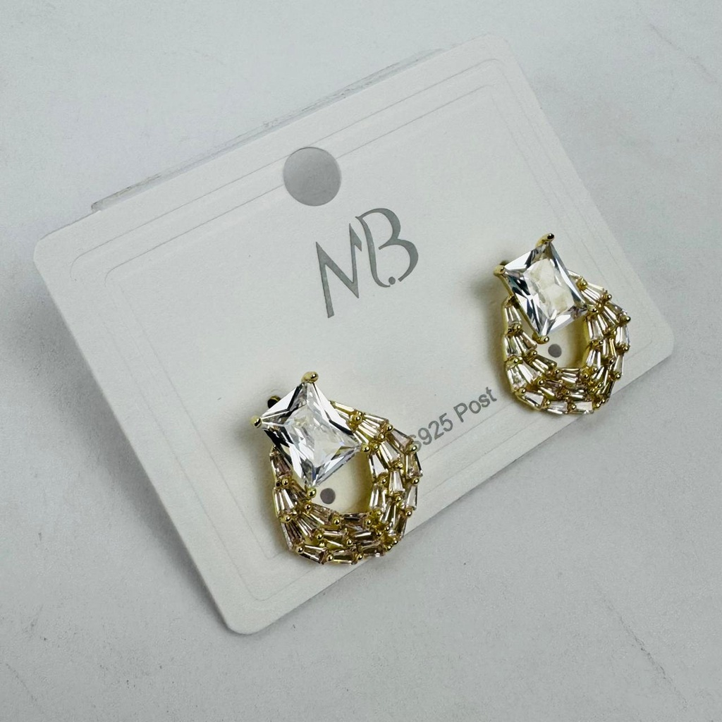 AD Elegant Shine Earring-041