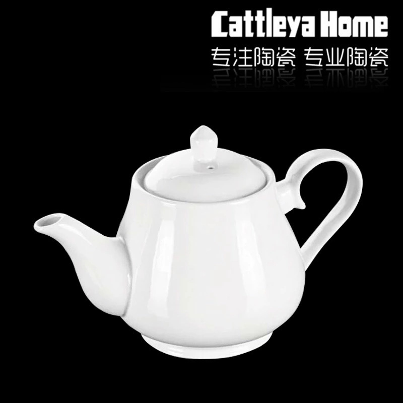 Small Ceramic Meixing Teapot