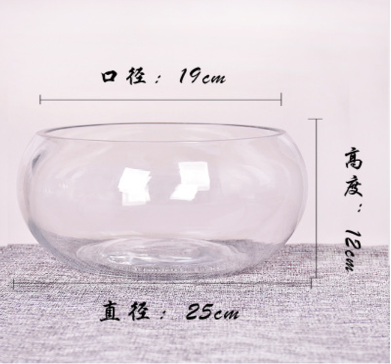 Mini Desktop Fish Tank