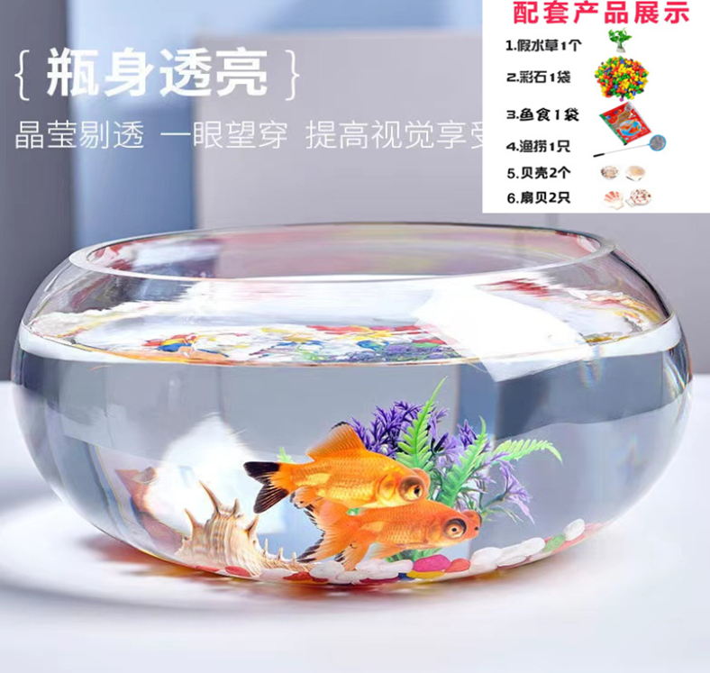 Mini Desktop Fish Tank+6-piece set