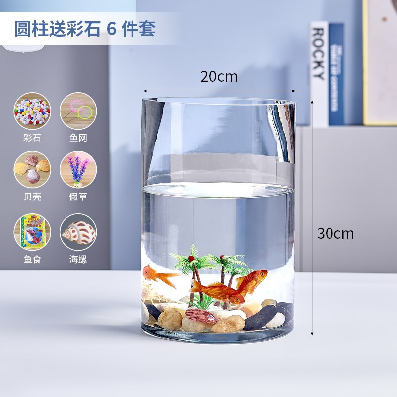 20cm Round Glass Fish Bowl Aquarium | Fish Tank, Home Decor