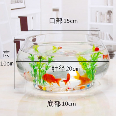 Transparent Round Glass Fish Tank 10*10CM
