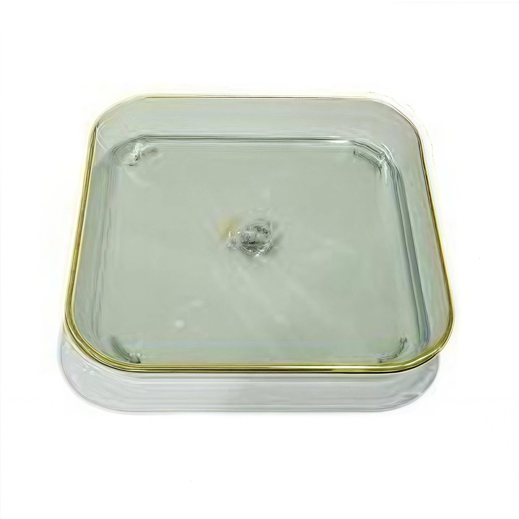Square bone dish. -662