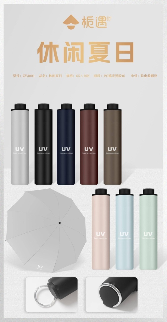 Umbrella ZY3001