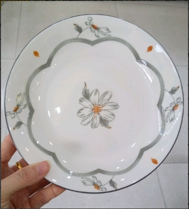 7 dinner plates (Thousand Springs of Spring)