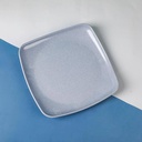 E-9.5 Wheat straw plate-1 Beige, blue, green random color 