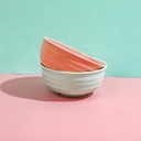 Colorful wheat straw bowl-668