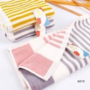 6019AB Strip Towel