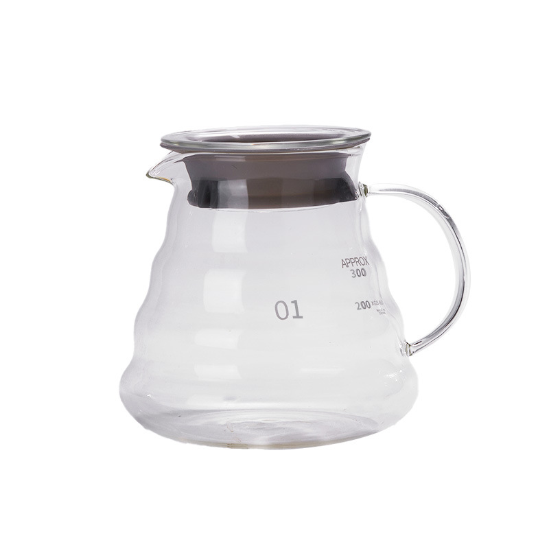 High Borosilicate Pour-over Cloud Kettle with Lid