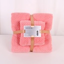 Coral Fleece Face Towel and Bath Towel Set