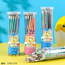 ZL448 Posture Hole Hole Rainbow Color Pencil 2B 1*8
