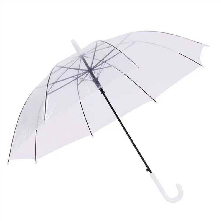 Transparent 60cm Long Umbrella POE
