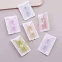 Bee-claw clip set 2pcs - 2