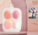 Internet Celebrity Beauty Egg (4 pcs+Storage Box)