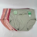 Cotton Ladies Brief (Jj18)