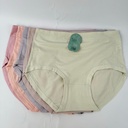 Cotton Ladies Brief (8903)